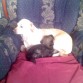 durmiendo con kiara